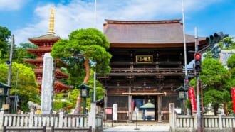 東京 高幡不動尊 仁王門と五重塔