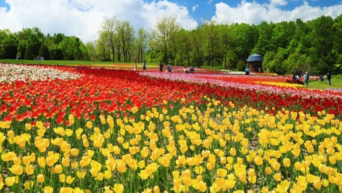 滝野すずらん丘陵公園