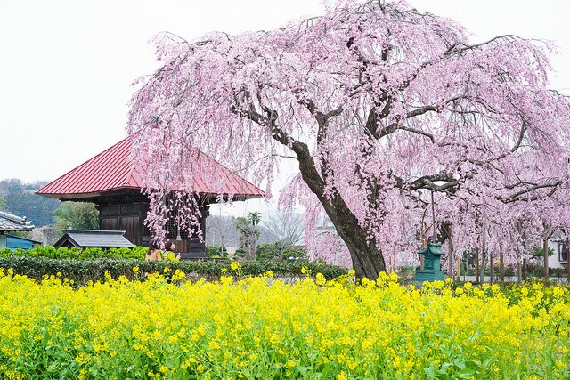 休日に行きたい 栃木市都賀町のおすすめ観光スポット9選 Skyticket 観光ガイド