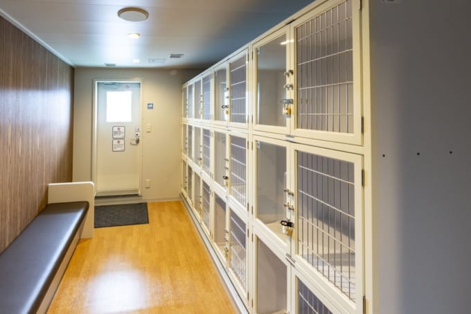 ドッグルーム＆ドッグバルコニー　津軽海峡フェリー「ブルーグレイス」ドッグルーム＆ドッグバルコニー