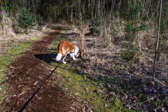 ファレル・マックウィッター・ファームパーク