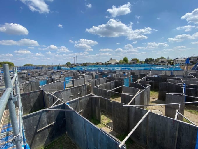 埼玉サバゲーフィールド おすすめ