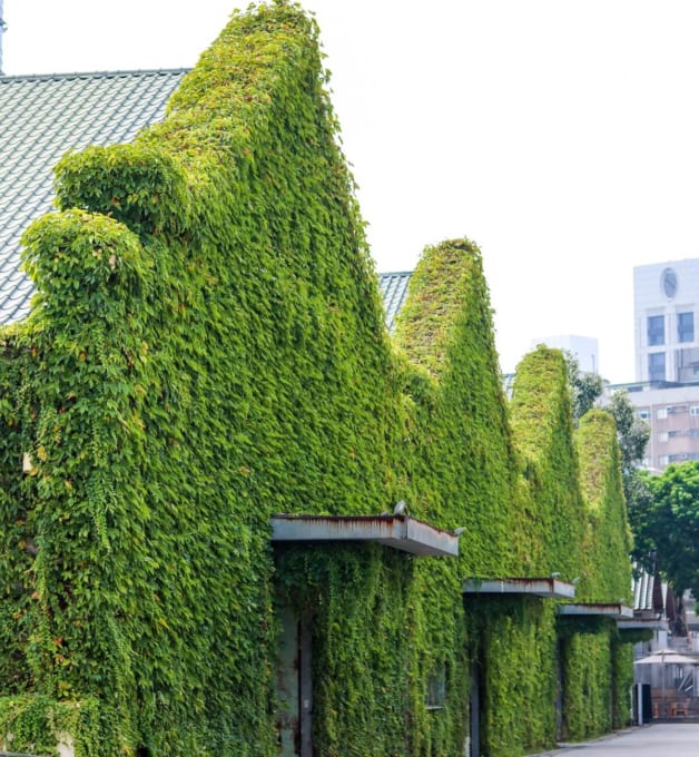 華山1914文化創意産業園区（台北）