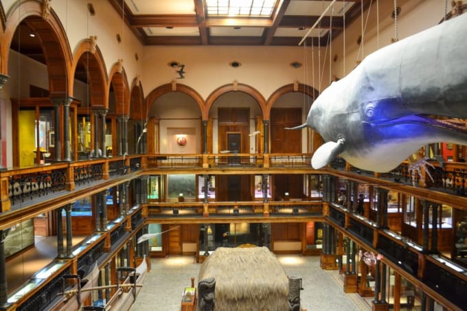 ビショップ・ミュージアム