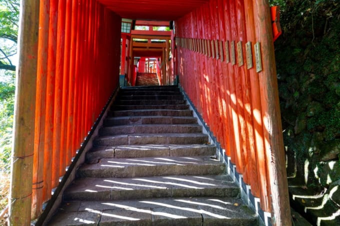 太皷谷稲成神社の千本鳥居（島根県津和野町）