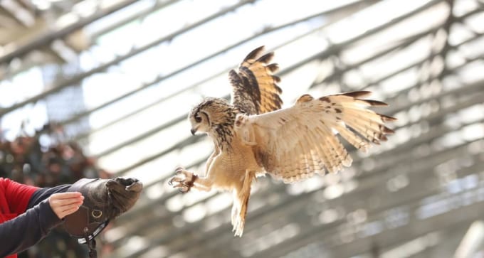 松江フォーゲルパーク（島根県松江市）