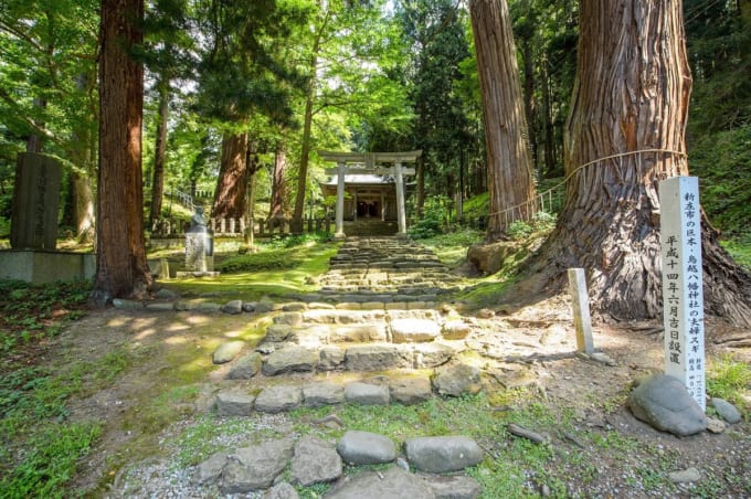 鳥越八幡神社の夫婦杉