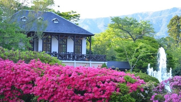 箱根強羅の観光スポット10選！人気保養地の魅力をお伝えします