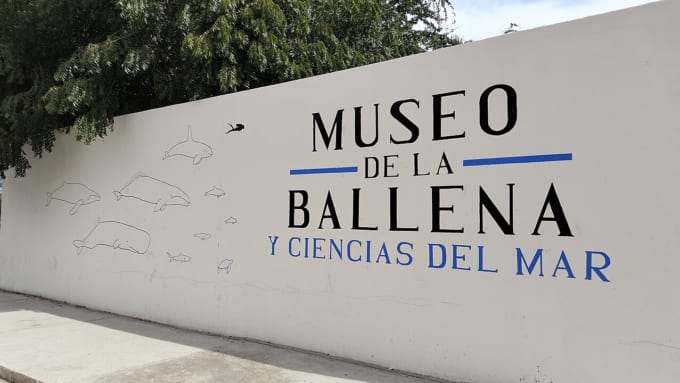 クジラ海洋科学博物館（メキシコ・ラパス）