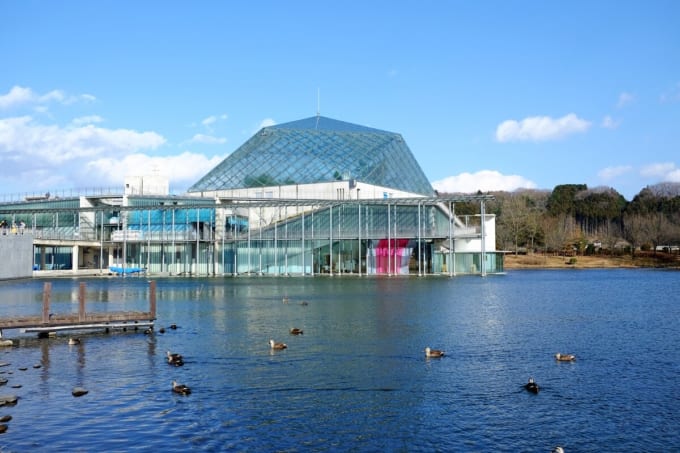 なかがわ水遊園