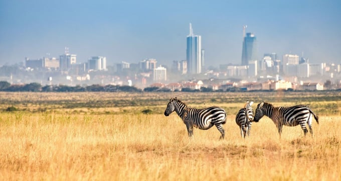 ケニアの大自然と大都市が併存するナイロビ おすすめ観光スポット8選 Skyticket 観光ガイド