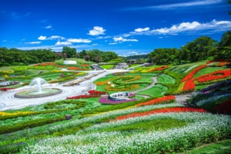 みちのく杜の湖畔公園