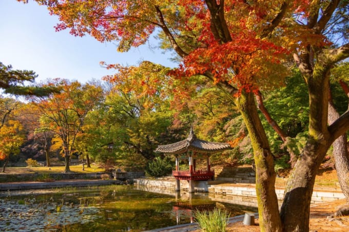 昌徳宮　後苑（秘苑）【韓国の世界遺産】