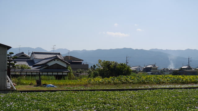 古き都城跡の町で滋味深いお土産を。奈良県橿原市でおすすめのお土産４選