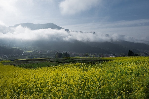 里の魅力がたくさん詰まった長野県飯山市のおすすめ土産３選 Skyticket 観光ガイド