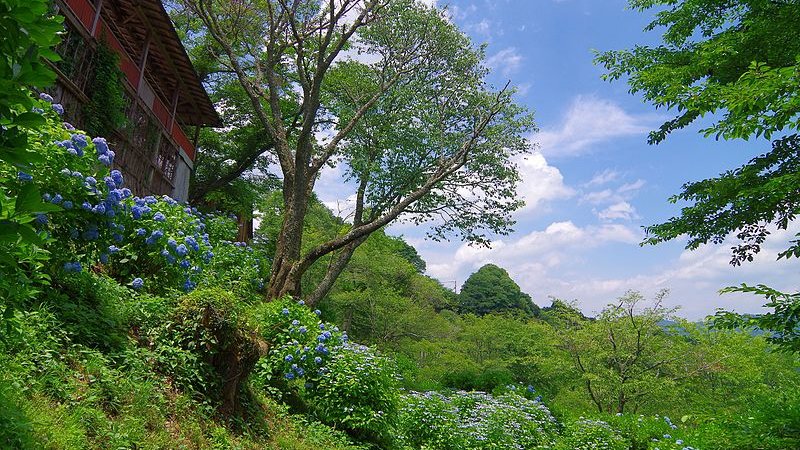 奈良の絶景スポット6選。日本古来から愛されてきた自然の景勝がいっぱい！