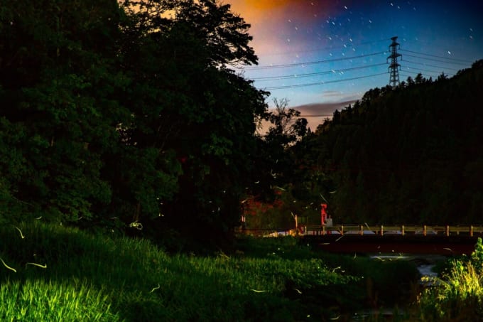 牛房野　ホタル