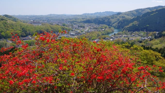 金尾山つつじ公園