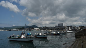 たくさんのカツオが水揚げされる枕崎港