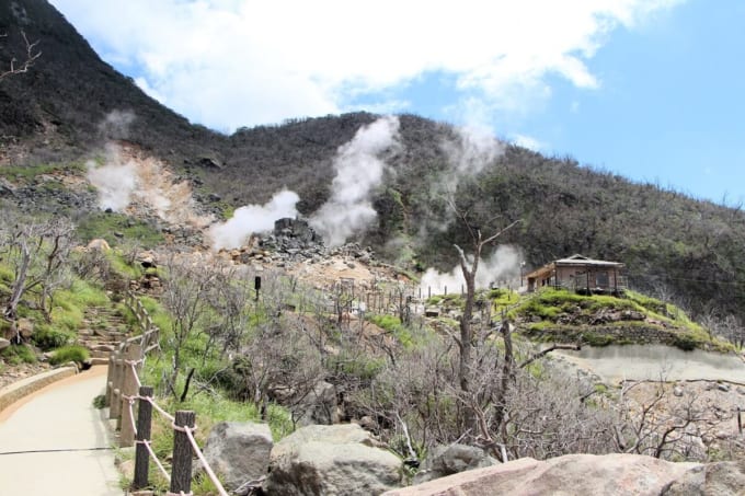 大涌谷自然研究路