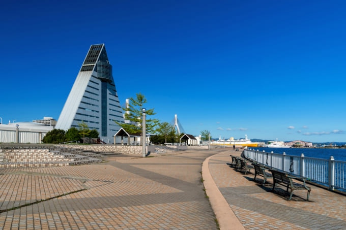 水曜どうでしょう 青い海公園