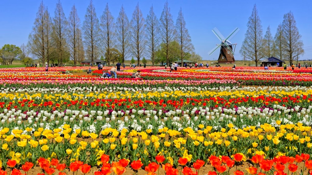 柏の観光スポット20選◎都心より便利な最先端都市とは？