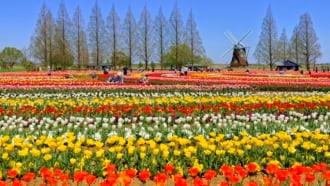 あけぼの山農業公園