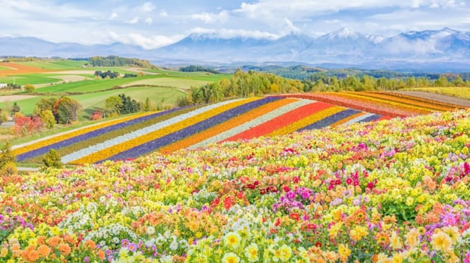 四季彩の丘と大雪山系