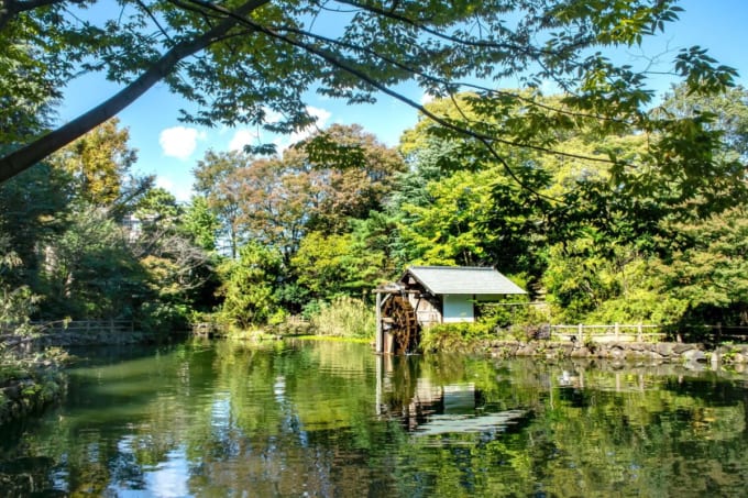 鍋島松濤公園（渋谷）