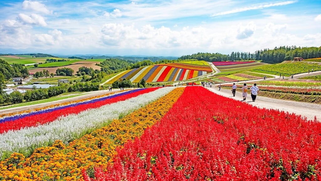 夏休みはどこに行く？｜国内旅行のおすすめスポットをご紹介