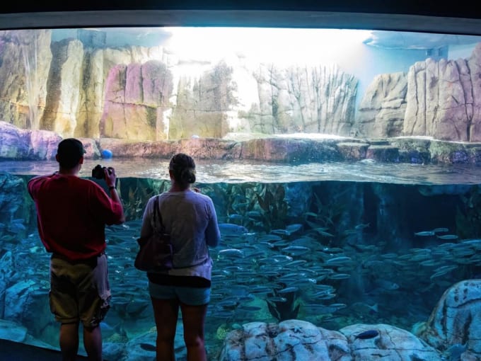 パシフィック水族館