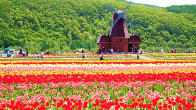 かみゆうべつチューリップ公園