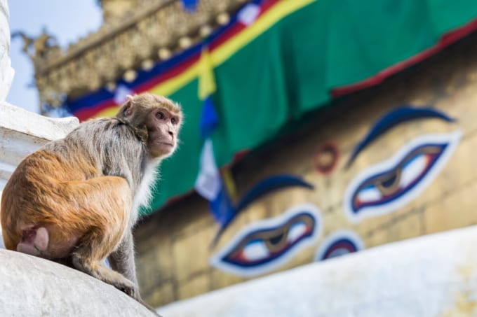 スワヤンブナート寺院（ネパール・カトマンズ）