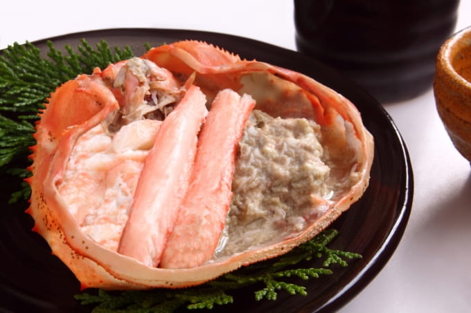 福井 カニ おすすめ