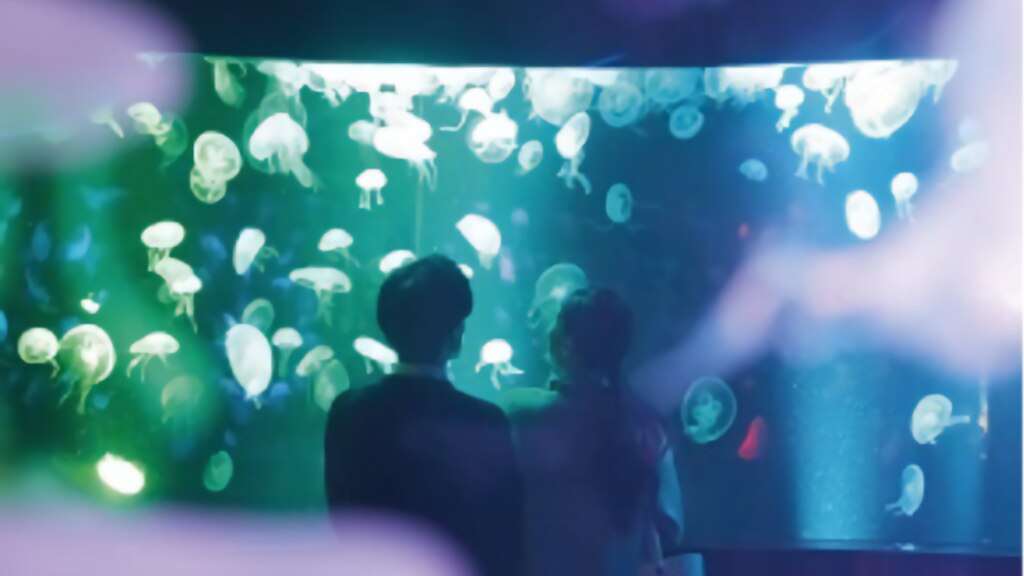 京都水族館　クラゲが舞う空間演出「ふゆ恋すいぞくかん」開催