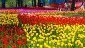 雪谷川ダムフォリストパーク