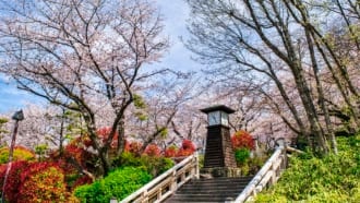 東京都　王子　飛鳥山公園