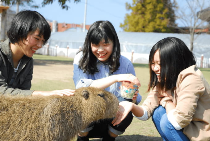 阿蘇ファームランド（熊本）