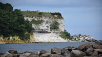 スティーブンス・クリント