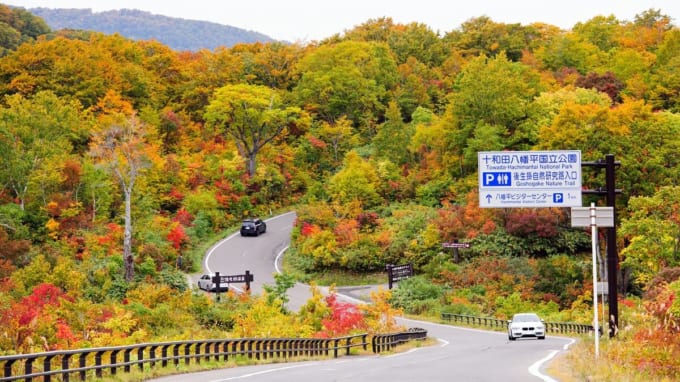 八幡平アスピーテラインの紅葉（鹿角市）