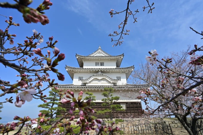 現存十二天守の1つ「丸亀城」