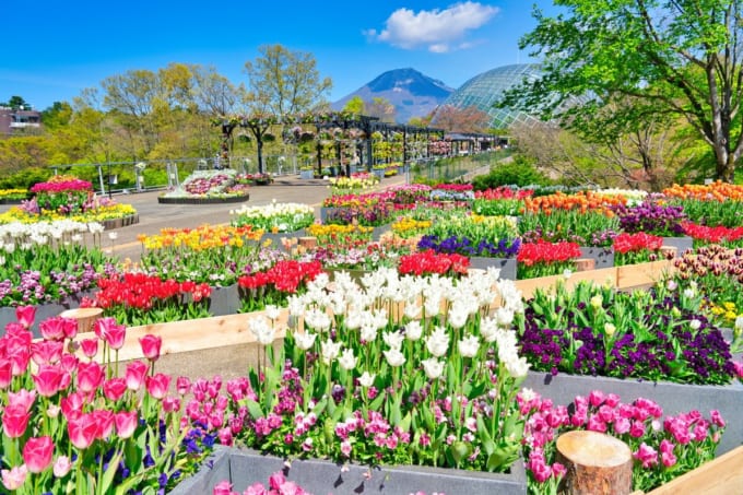 とっとり花回廊（鳥取県）