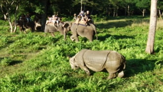 チトワン国立公園