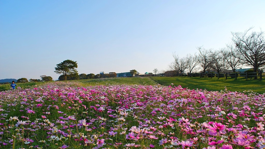 鹿児島県霧島のおすすめホテル10選【温泉郷と大自然を満喫】