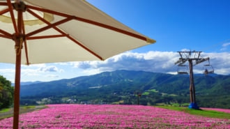 ひるがのピクニックガーデン 観光