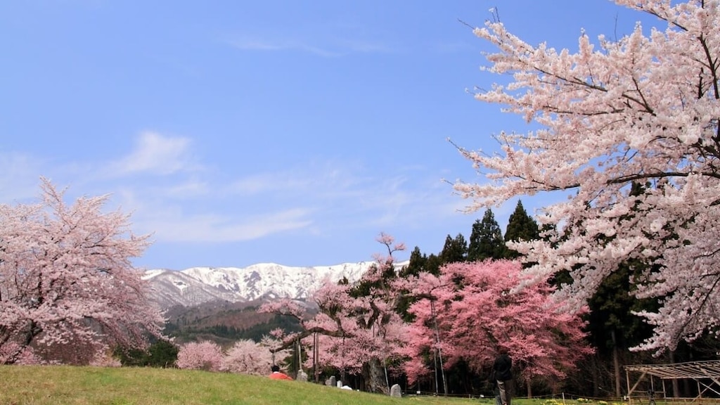 魅力いっぱい！山形県白鷹町の観光スポット5選