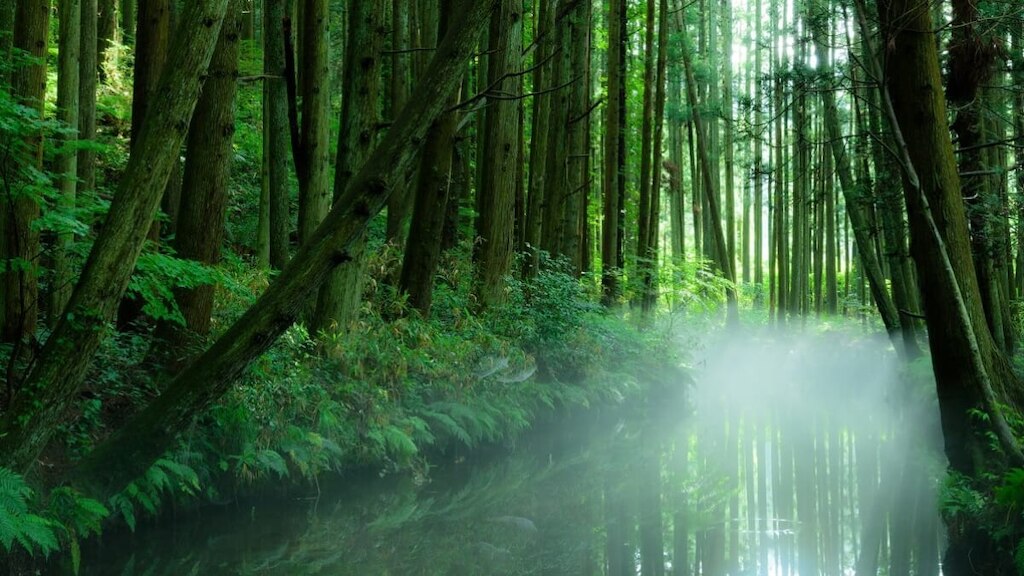 山形県庄内町のオススメ観光スポット5選。豊かな自然あふれる町でリフレッシュ！