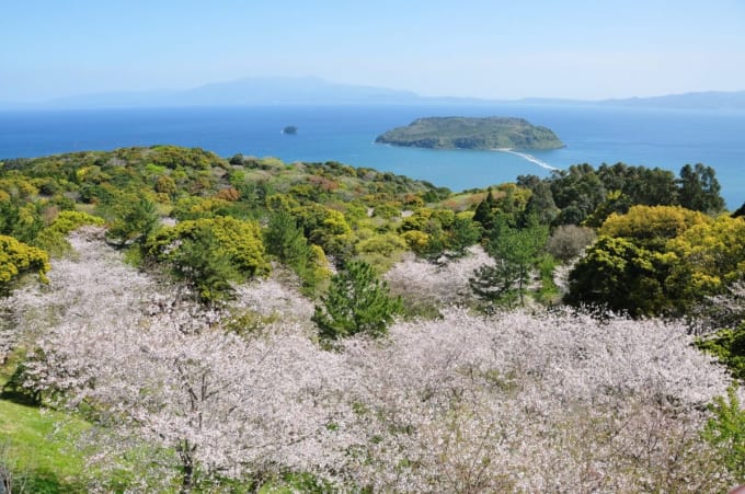 魚見岳自然公園