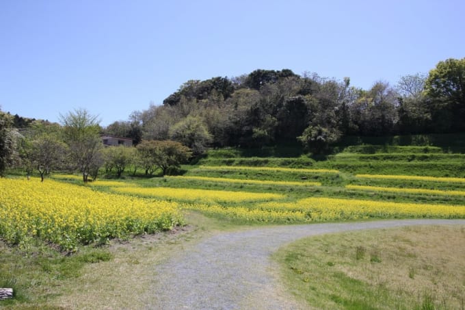 さとはま縄文の里 史跡公園