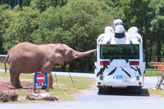 秋吉台サファリランド